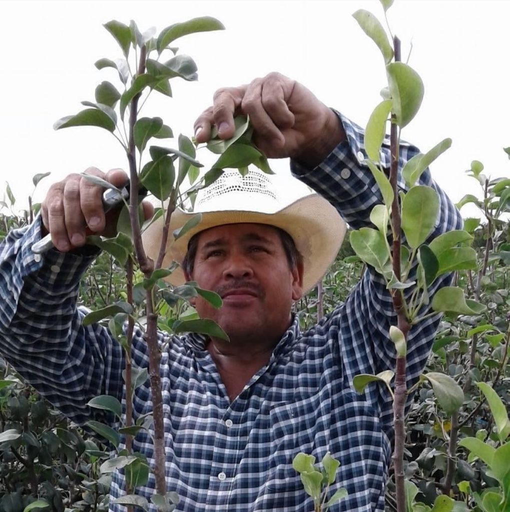 Heriberto Ruiz Profile Photo