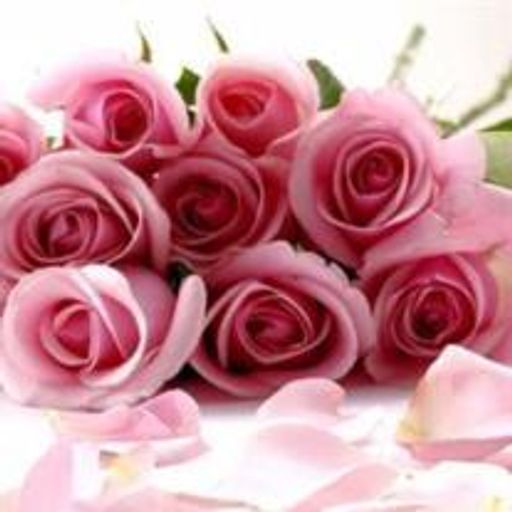 Virginia A. Armendariz Profile Photo