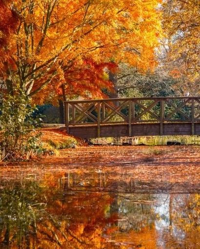 Joanne Kiser's obituary image