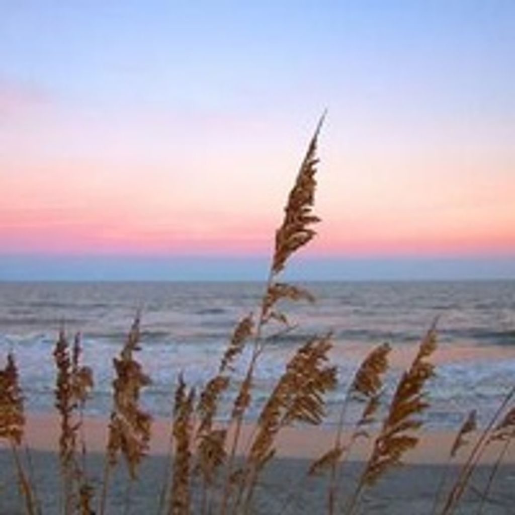 Sue Ann Youngblood