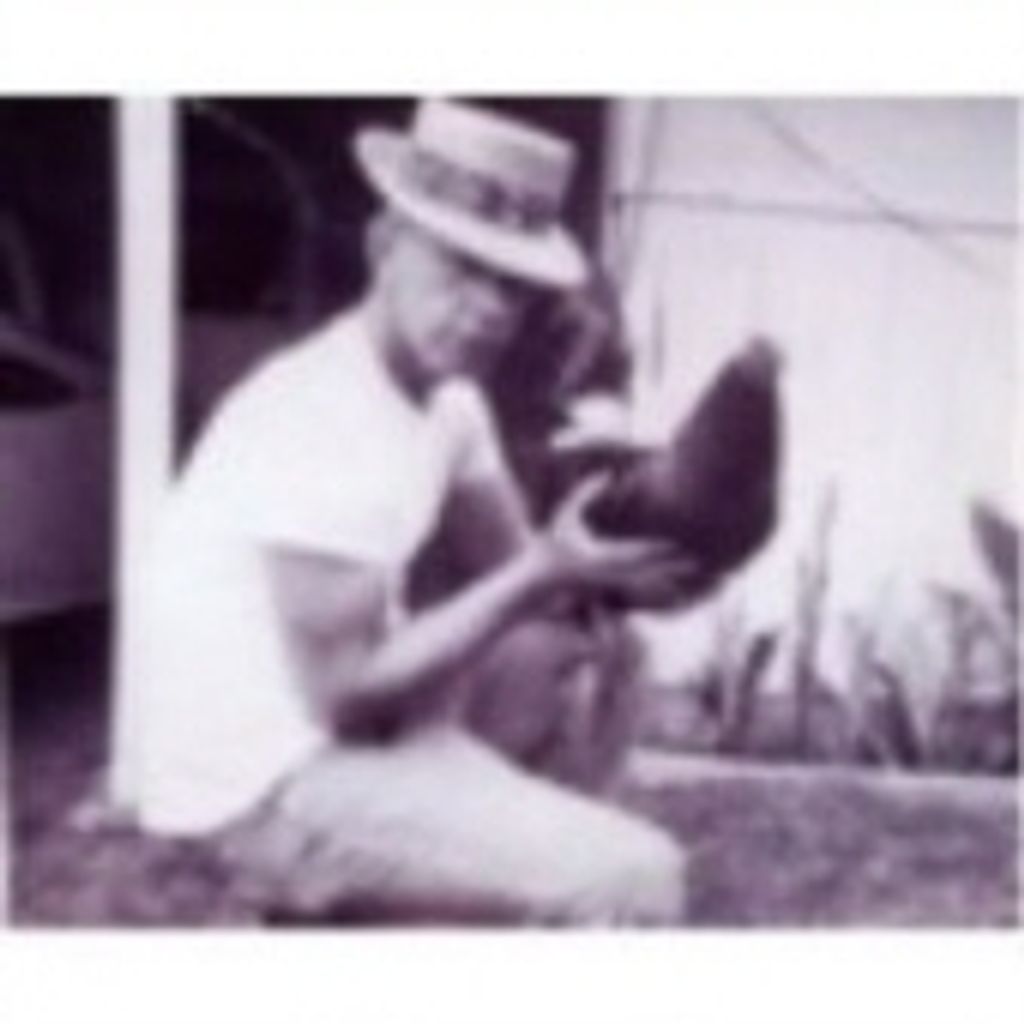 Wallace Mope W. Holmes