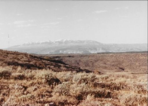Gary Douglas Teal photo gallery thumbnail 9 of 12