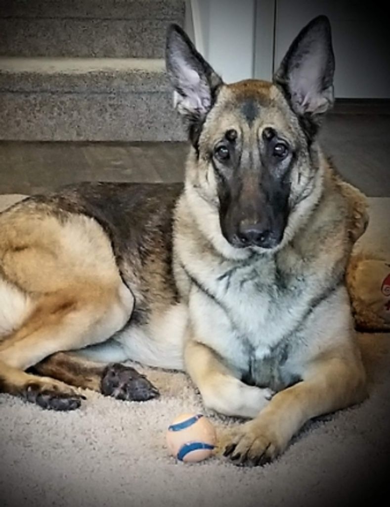 Zeva Horn Profile Photo