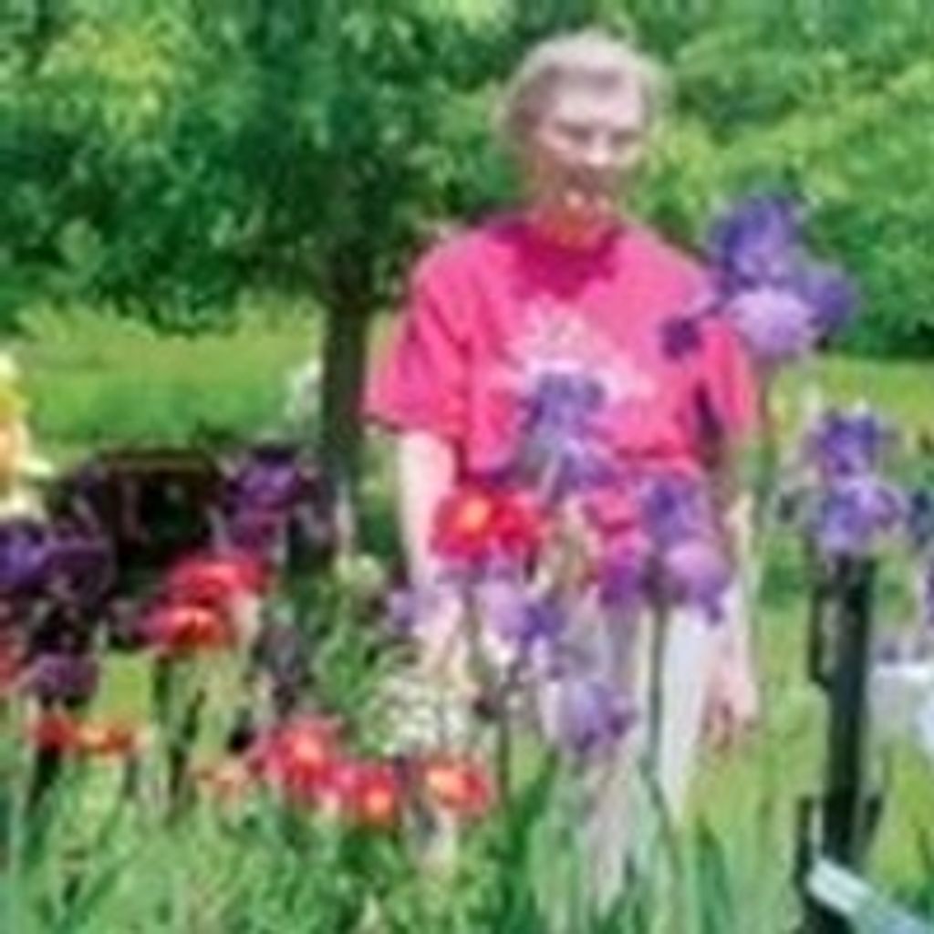 Wynette "Nettie" L Strubbe