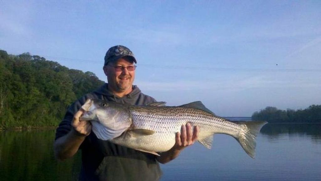 Chris Martin Profile Photo