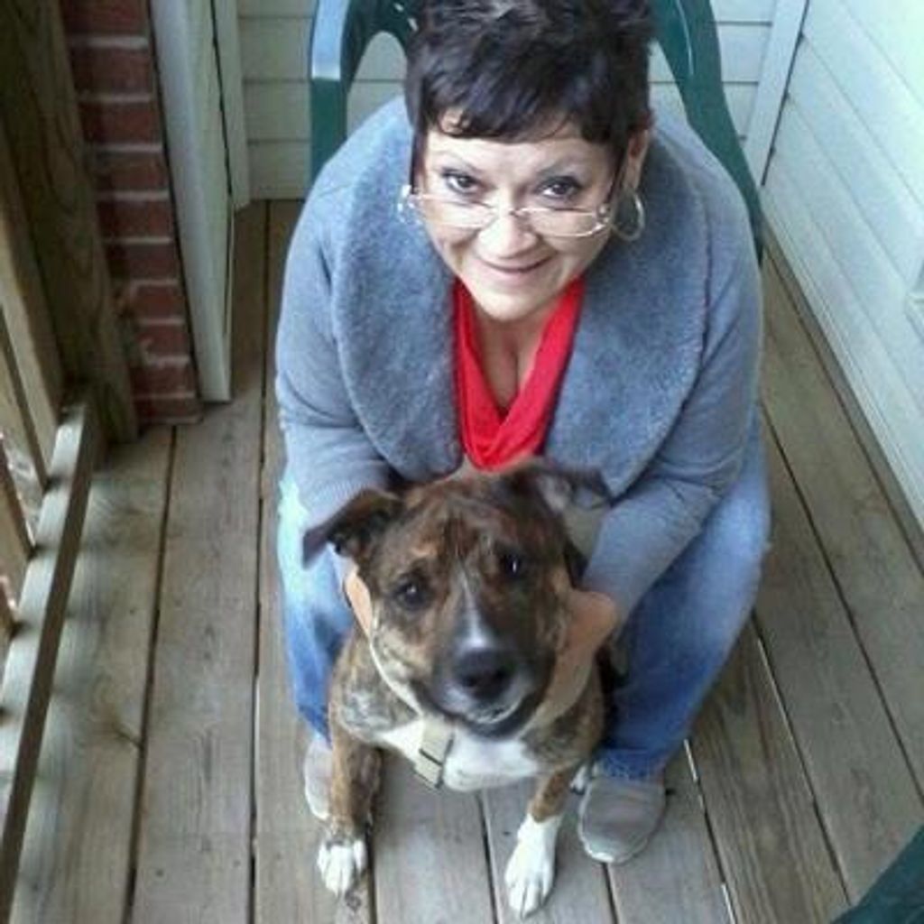 Kim Badenbach Profile Photo