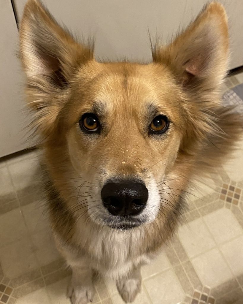 Ginger Boyd Profile Photo