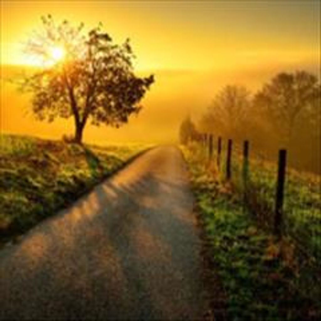 Michael Sean Pilkington Profile Photo