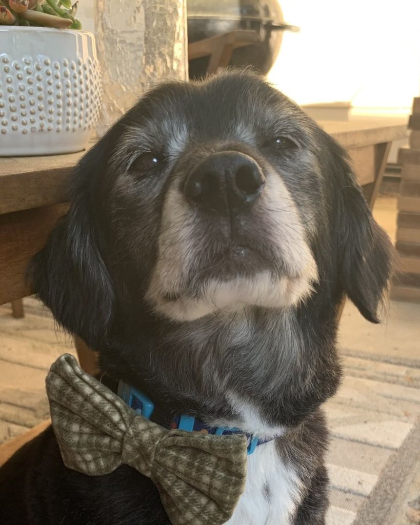 Cooper Rogers Profile Photo