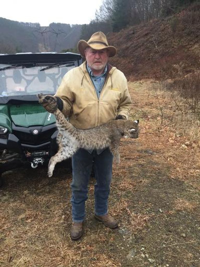 William "Bill" Wade Haviland Profile Photo