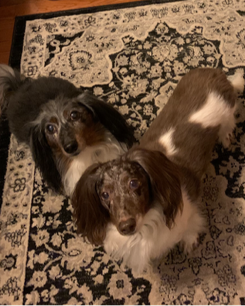 Frank-e and Beanz Smith Profile Photo