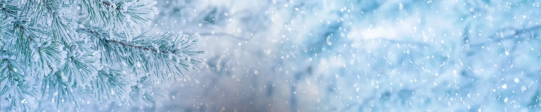 Cover photo for Darlene Kay Poisel's Obituary