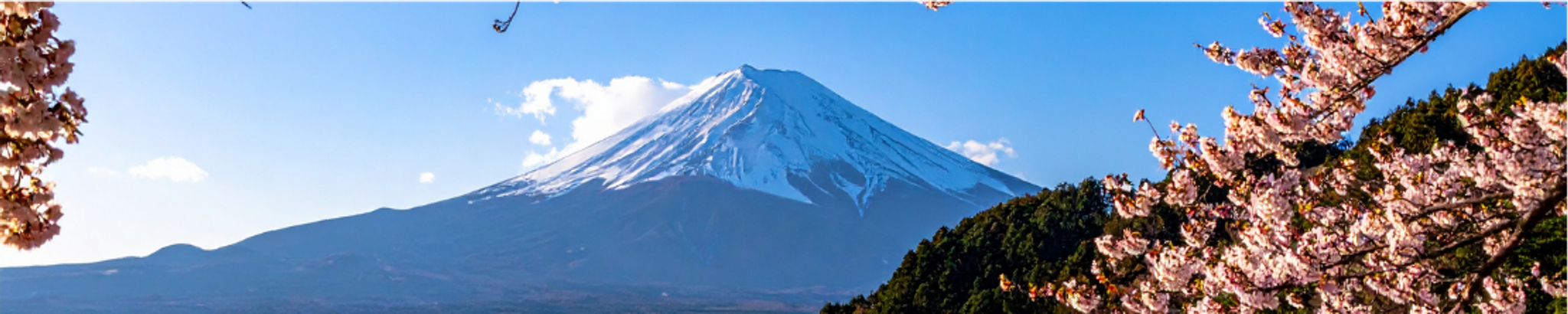 Cover for Anthony C. Berseth's Obituary