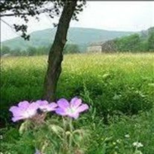 Earleene Elenore Smith Profile Photo