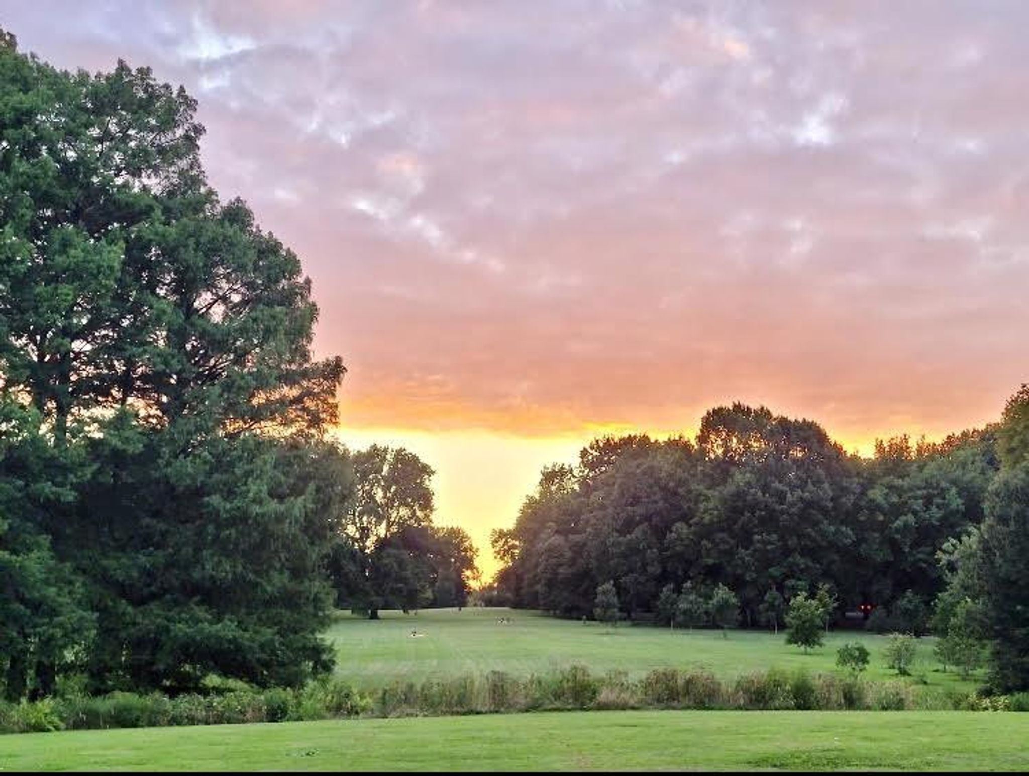 Cover for Andrew Bradley Wos's Obituary