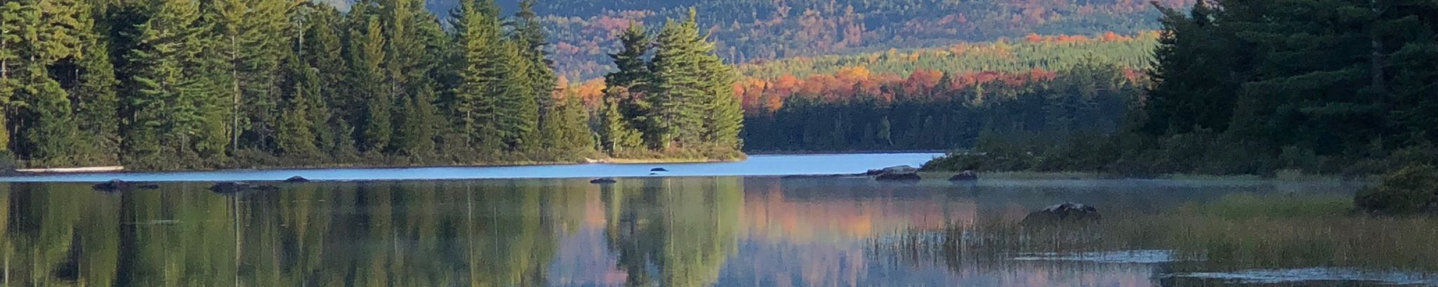 Cover for Nancy Shannah (Cunningham) Mann's Obituary