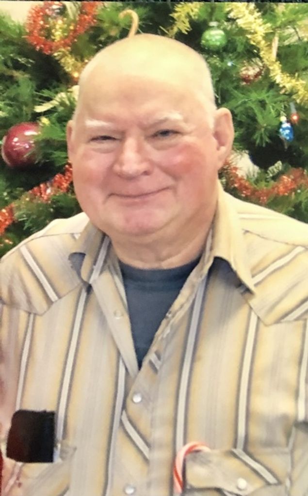 Robert Nicholson Profile Photo