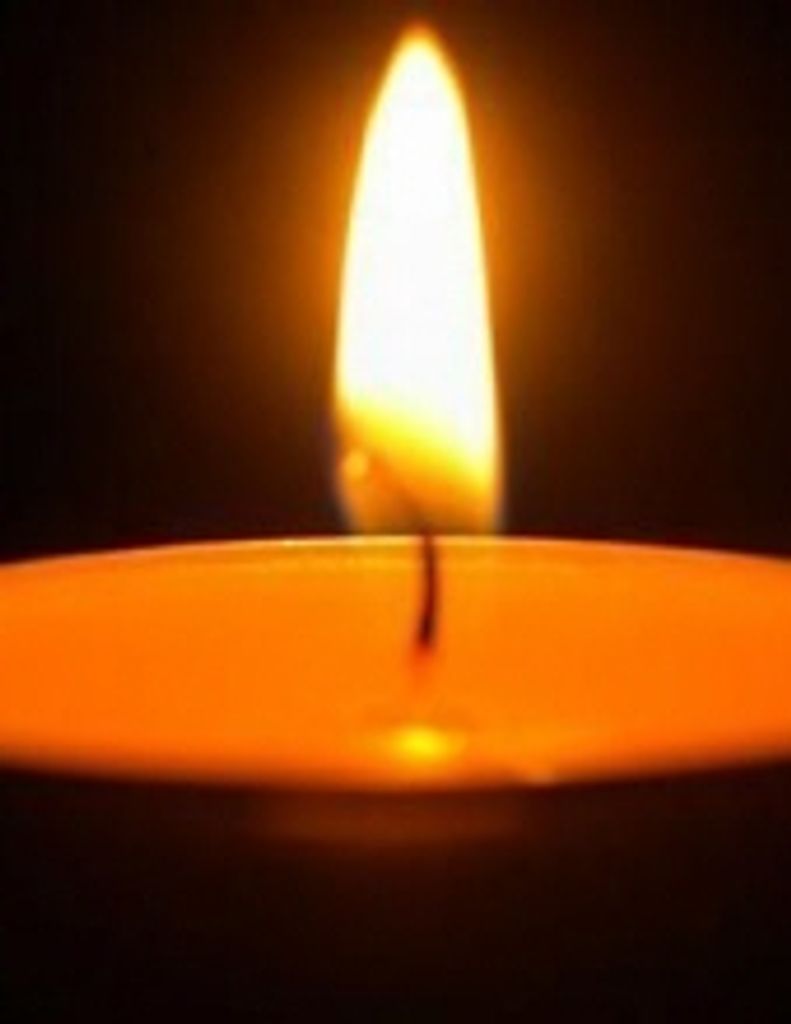 Elaine S. (Burgess) Zirpolo Profile Photo