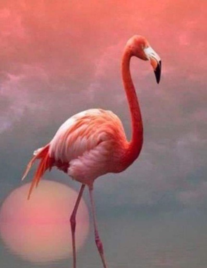 Debra Henneman