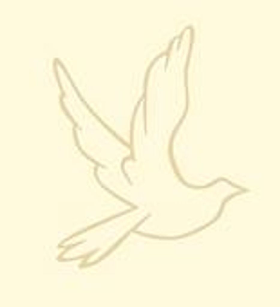 Guy "Nino" Cacucciolo