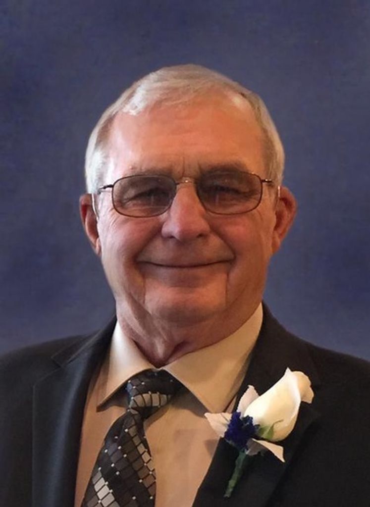 Stephen B Nelson