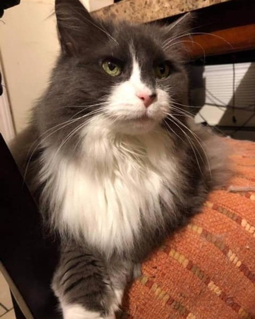 Poopsie Profile Photo