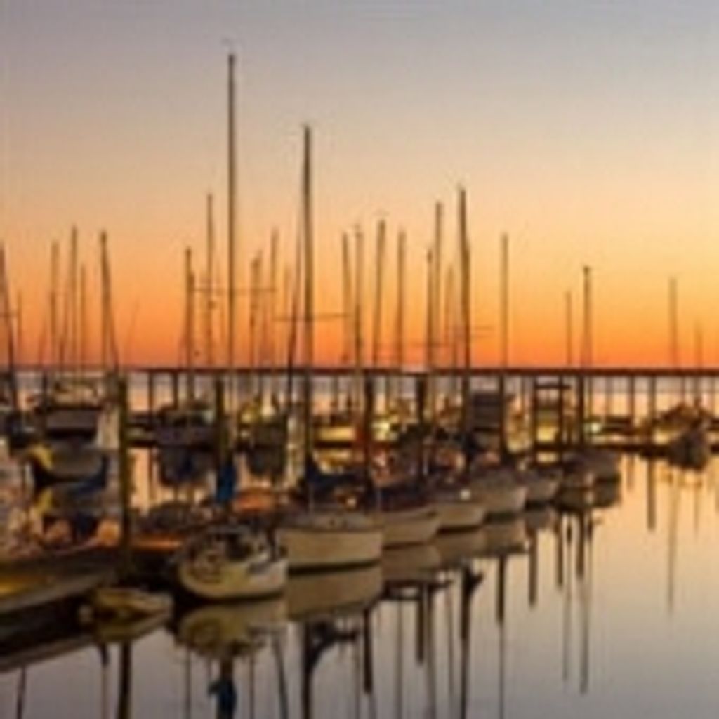 Robert Lee Walter Jr