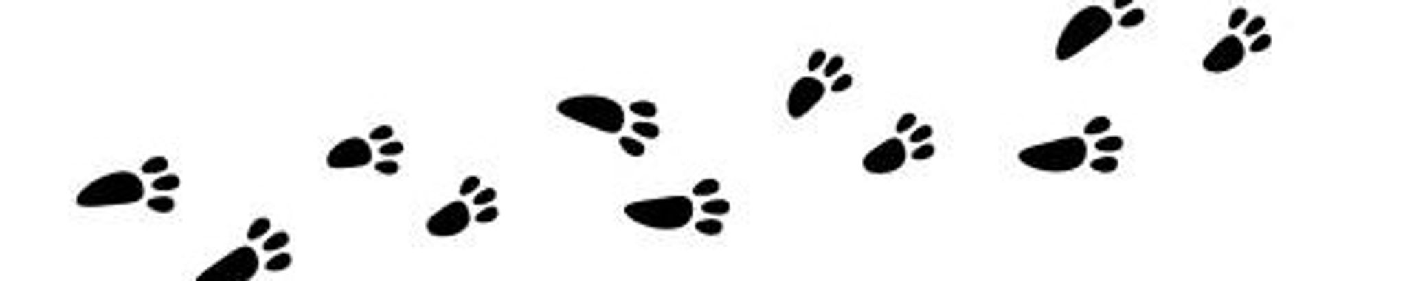 Cover for Max's Obituary