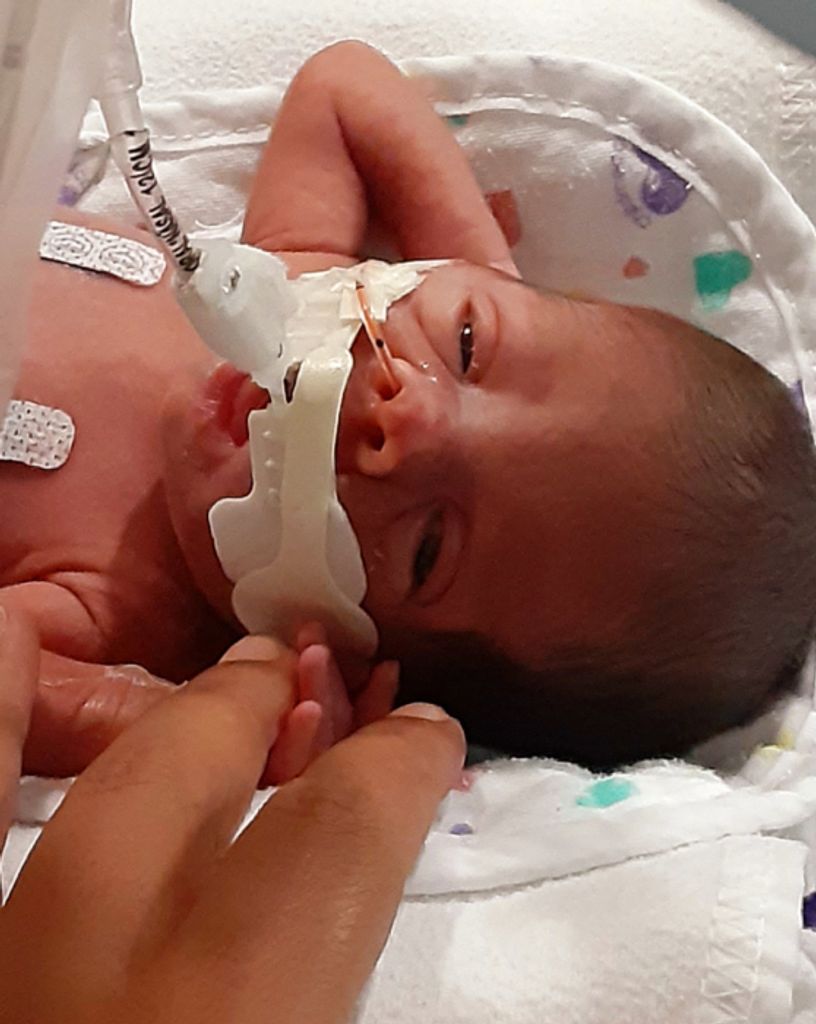 Sophia Michelle Renee Lee