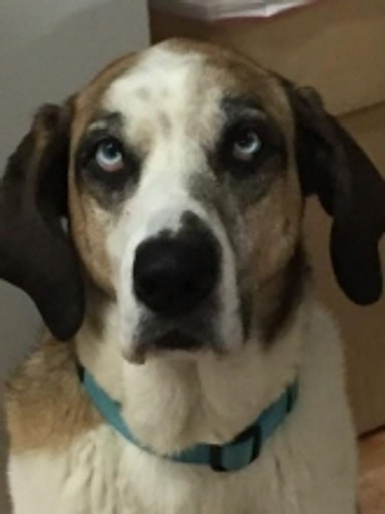 Bailey Bogner Profile Photo