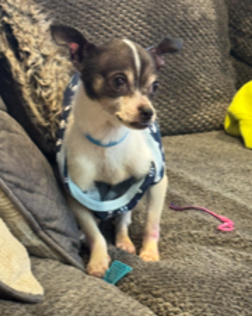 Toby Rivera Profile Photo