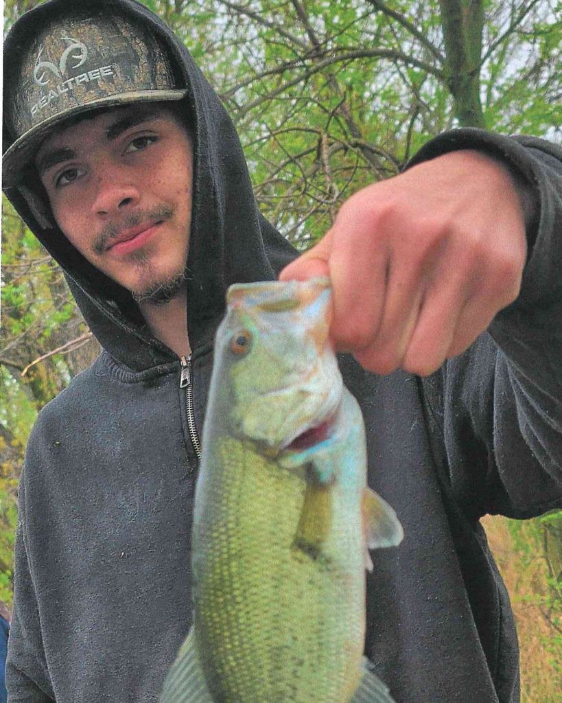 Ezekiel Daniel Gross Profile Photo