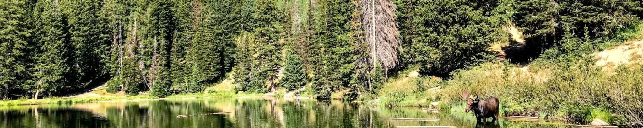 Cover photo for Emily Johnson's Obituary