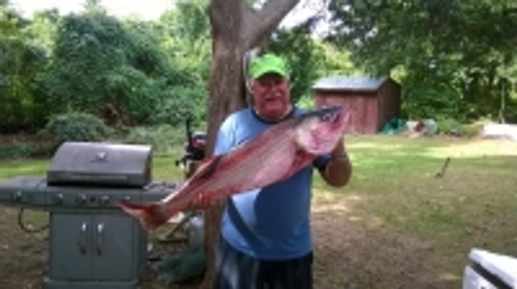 Mr. William J. Trampel Profile Photo