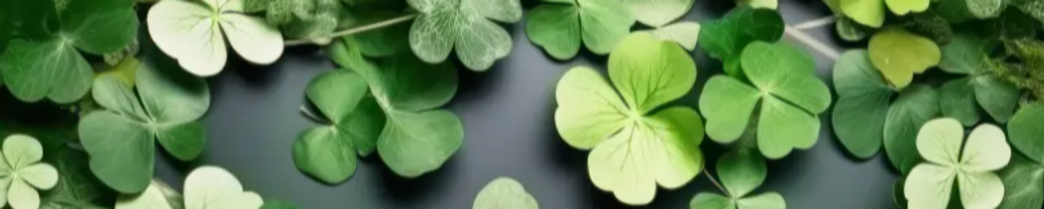 Cover for William Devaney's Obituary