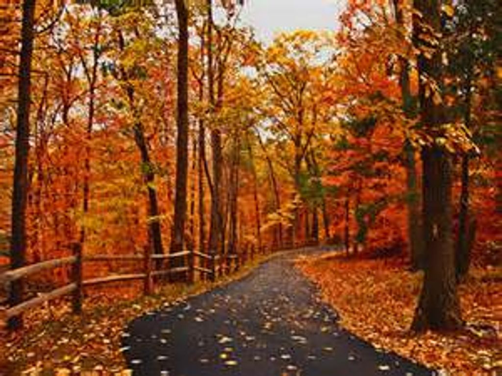 Glen Ottis Bear, Sr.