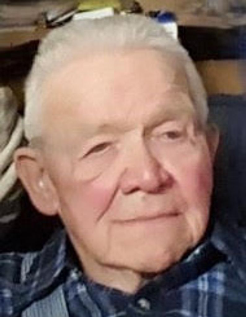 Delmar L Poe