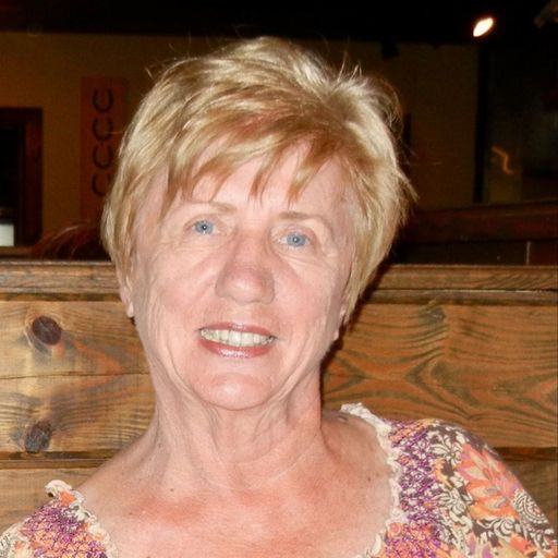 Carol Ann Dewire (Ptak) Profile Photo