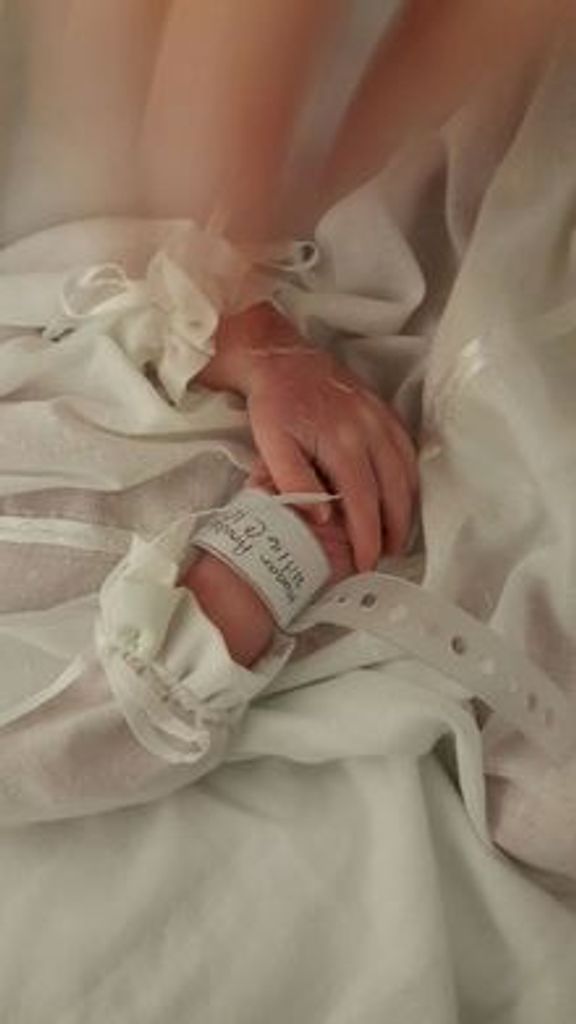 Tinsley Roe Pressburg