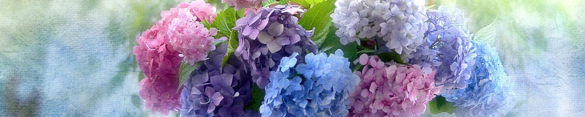 Cover photo for Virginia B. Ausanka's Obituary