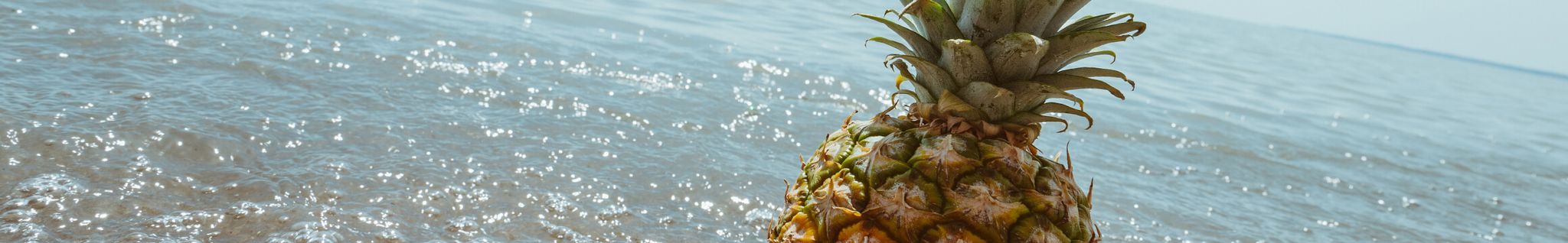 Cover for Donna Duckworth's Obituary