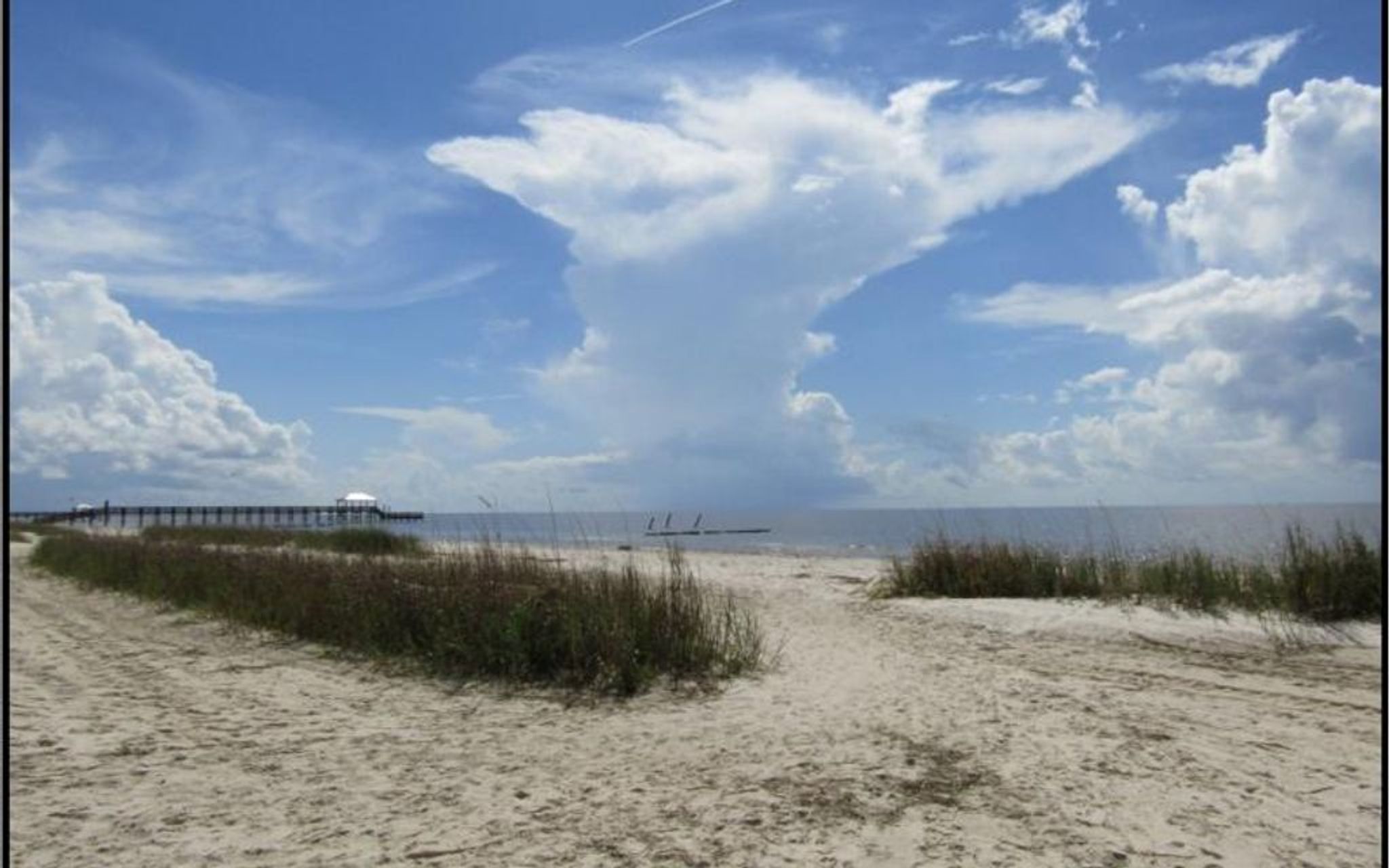 Cover photo for Laura Haas Knox's Obituary