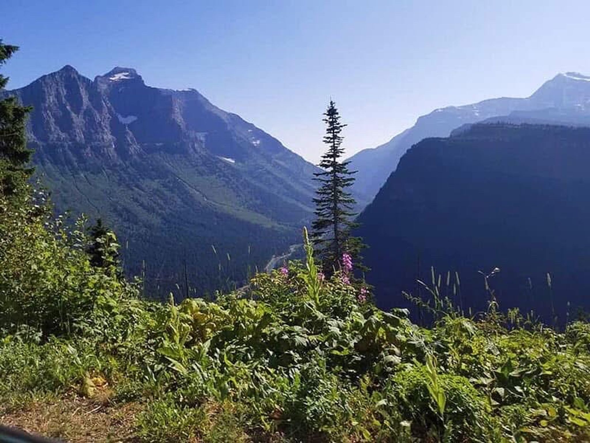 Cover for Cleveland Wayne Wyatt, Sr.'s Obituary