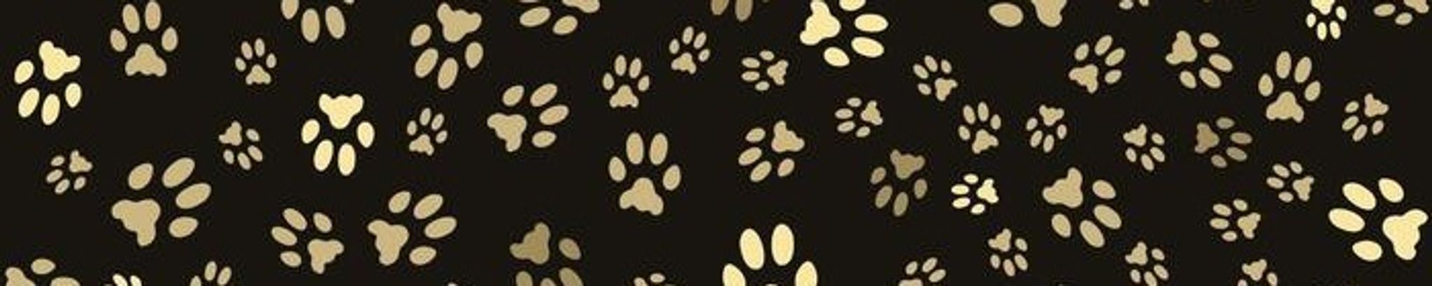 Cover for Carol Jane Pietruszak's Obituary