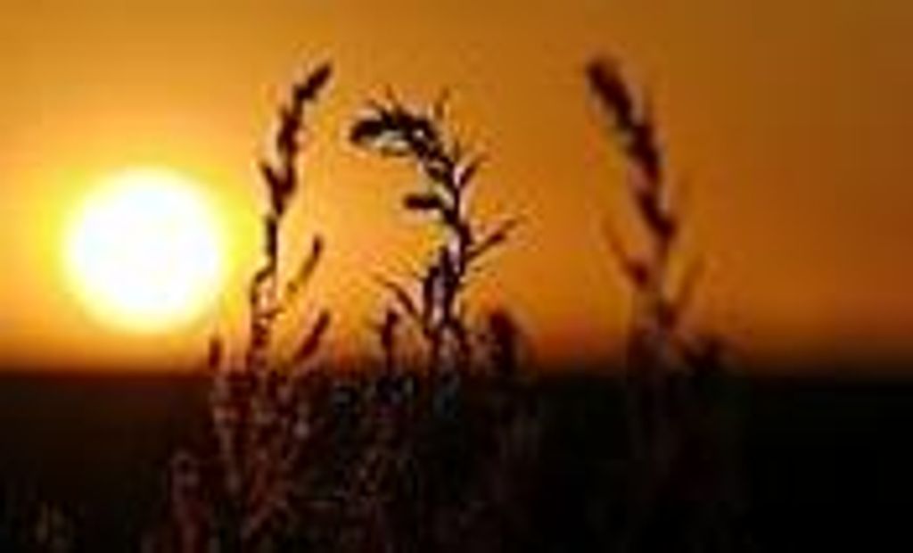 Perl Arthur Shores Profile Photo