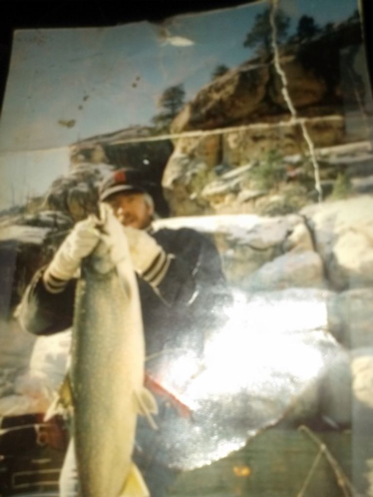 Michael Thornton