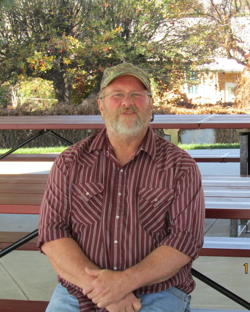 Tracy Dolbear Profile Photo