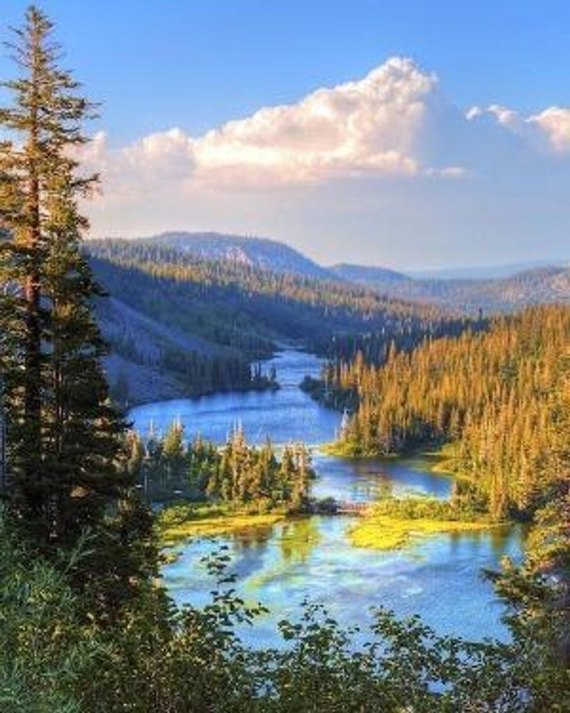 William W Gault Profile Photo