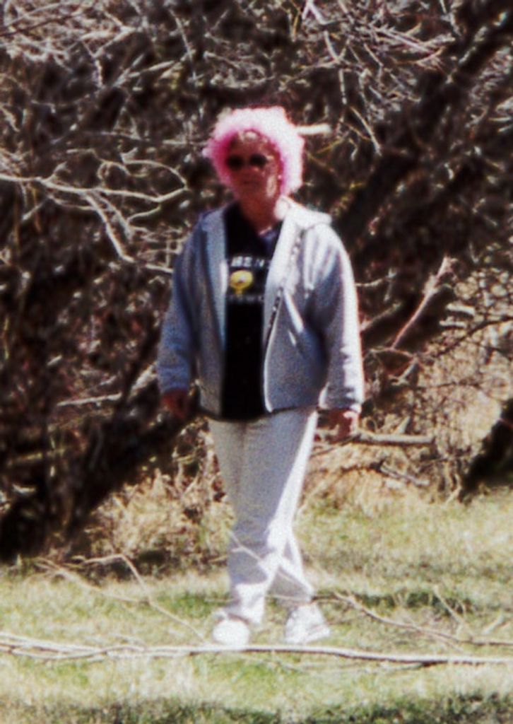 Donna Elaine (Goltz)  Gladeau Profile Photo