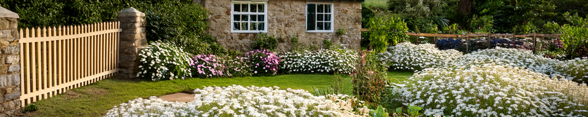 Cover for Opal Johnson's Obituary